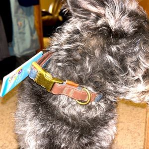 Medium size dog collar. Beagle, Standard Poodle. Neck size 12-20 in.